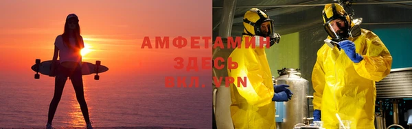 гашик Аркадак