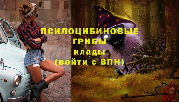 гашик Аркадак