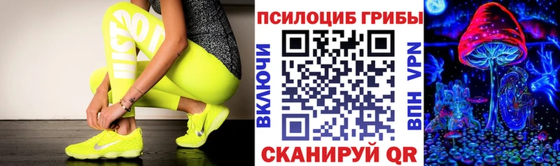 Галлюциногенные грибы Psilocybe  мега как войти  Острогожск 